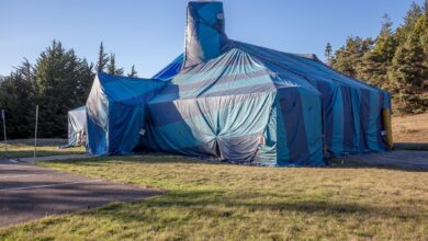 termite tenting cost for full house fumigation treatment
