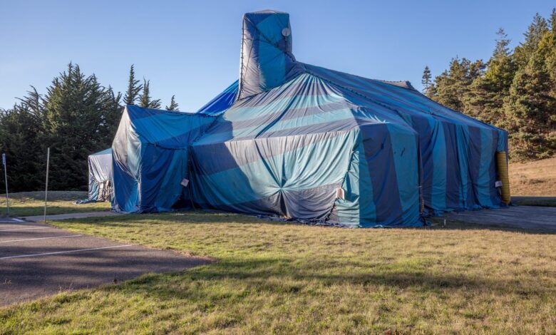 termite tenting cost for full house fumigation treatment