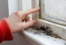 how to get rid of mold — visible black mold growth on bathroom wall before treatment