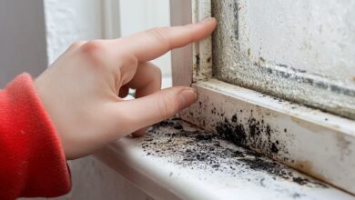 how to get rid of mold — visible black mold growth on bathroom wall before treatment