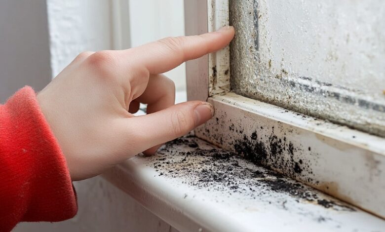 how to get rid of mold — visible black mold growth on bathroom wall before treatment