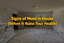 Signs of Mold in House