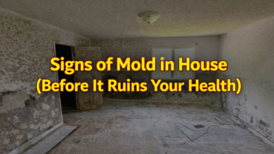 Signs of Mold in House