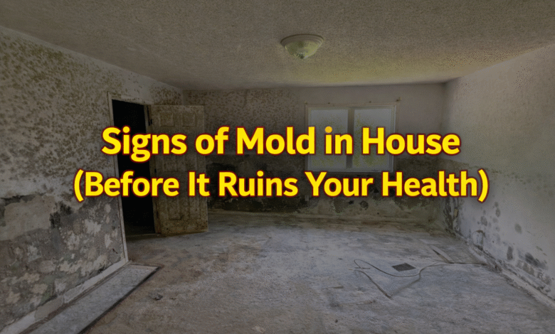 Signs of Mold in House