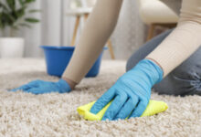 Wet carpet after water leak inside home